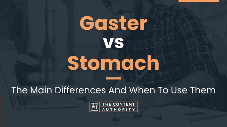 Gaster vs Stomach: The Main Differences And When To Use Them