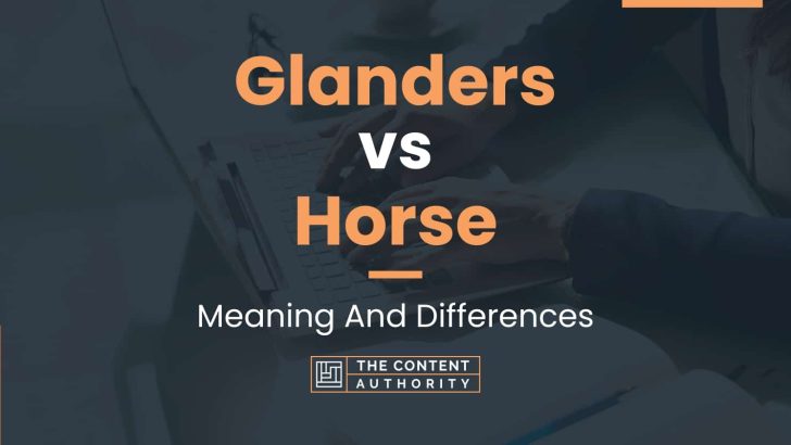 Glanders vs Horse: Meaning And Differences