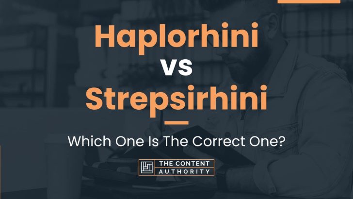 Haplorhini vs Strepsirhini: Which One Is The Correct One?