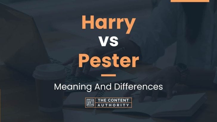Harry vs Pester: Meaning And Differences