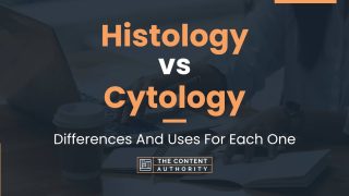 Histology vs Cytology: Differences And Uses For Each One