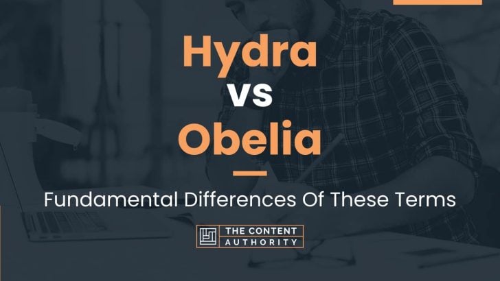 Hydra vs Obelia: Fundamental Differences Of These Terms