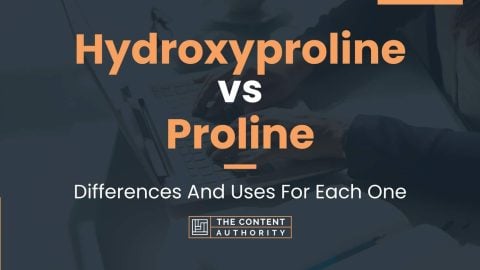 Hydroxyproline vs Proline: Differences And Uses For Each One