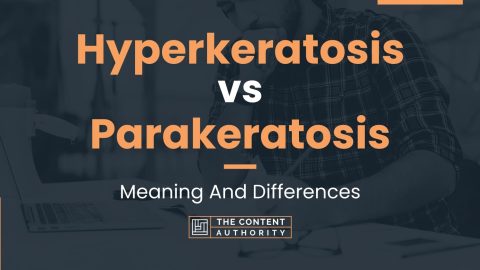 Hyperkeratosis vs Parakeratosis: Meaning And Differences