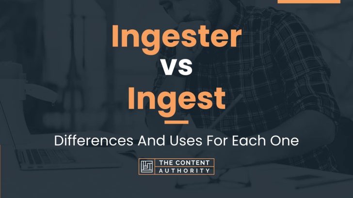 Ingester vs Ingest: Differences And Uses For Each One