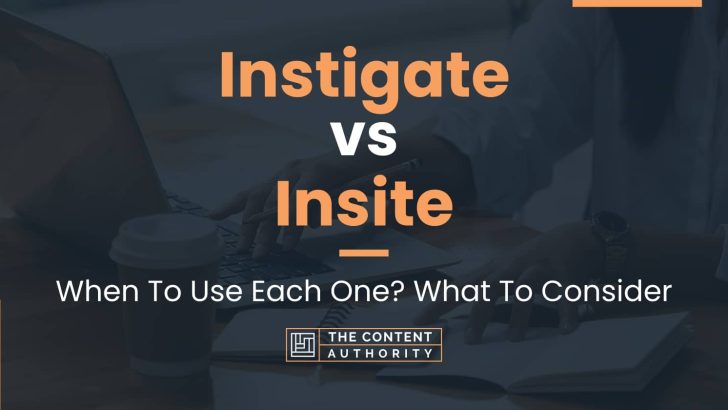 Instigate vs Insite: When To Use Each One? What To Consider