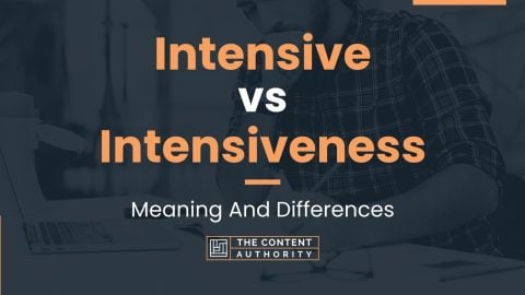 Intensive vs Intensiveness: Meaning And Differences