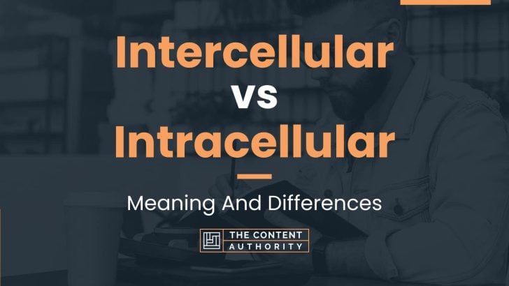 Intercellular vs Intracellular: Meaning And Differences