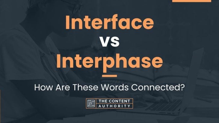 Interface vs Interphase: How Are These Words Connected?