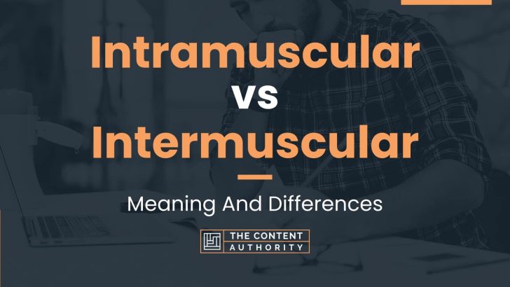 Intramuscular vs Intermuscular: Meaning And Differences