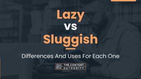 Lazy vs Sluggish: Differences And Uses For Each One