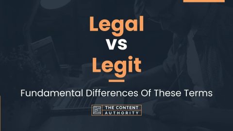 Legal vs Legit: Fundamental Differences Of These Terms