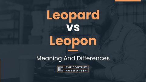 Leopard vs Leopon: Meaning And Differences