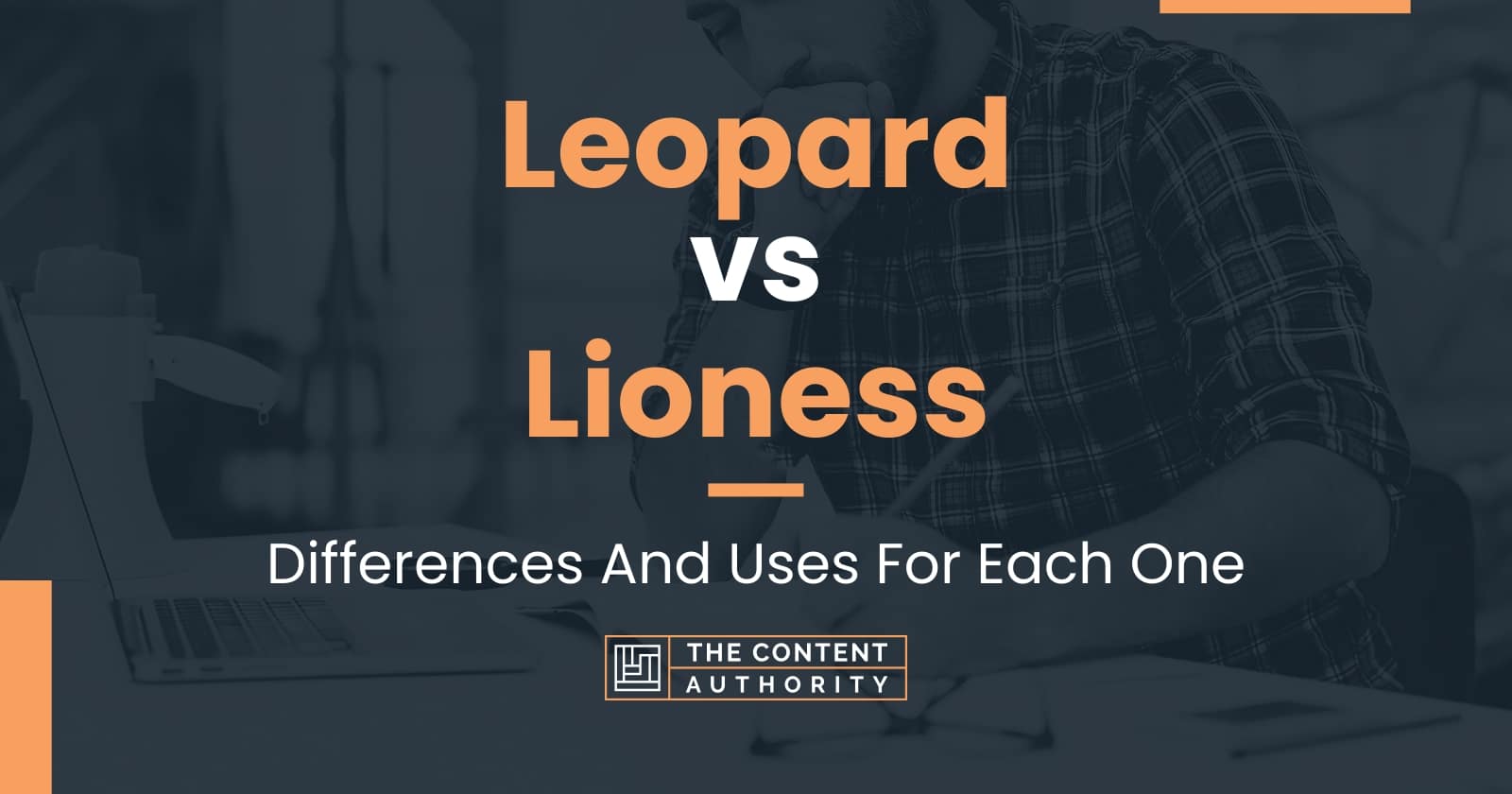 Leopard vs Lioness: Differences And Uses For Each One