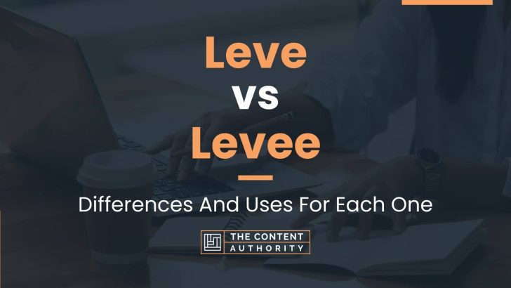 Leve vs Levee: Differences And Uses For Each One