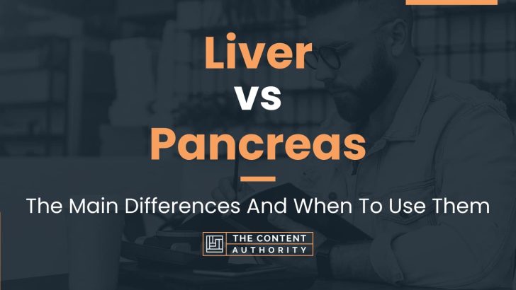 Liver vs Pancreas: The Main Differences And When To Use Them