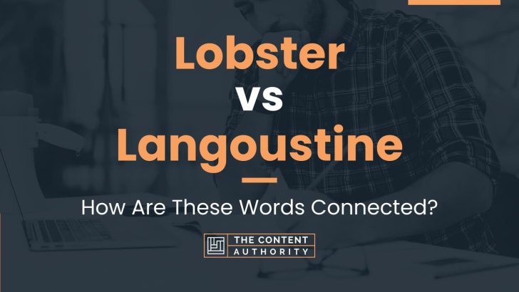 Lobster vs Langoustine: How Are These Words Connected?