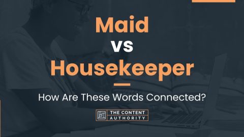 Maid Vs Housekeeper: How Are These Words Connected?