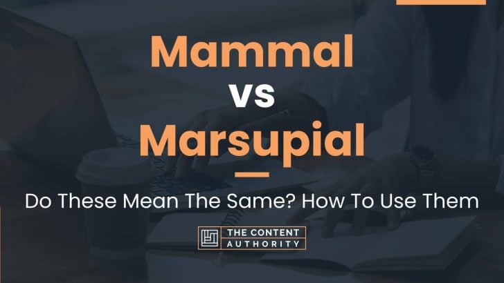 Mammal vs Marsupial: Do These Mean The Same? How To Use Them