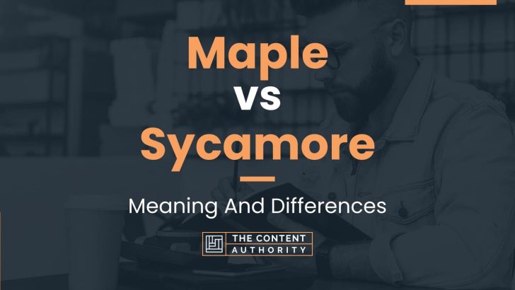 Maple vs Sycamore: Meaning And Differences