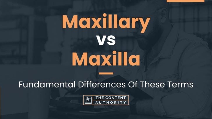 Maxillary vs Maxilla: Fundamental Differences Of These Terms