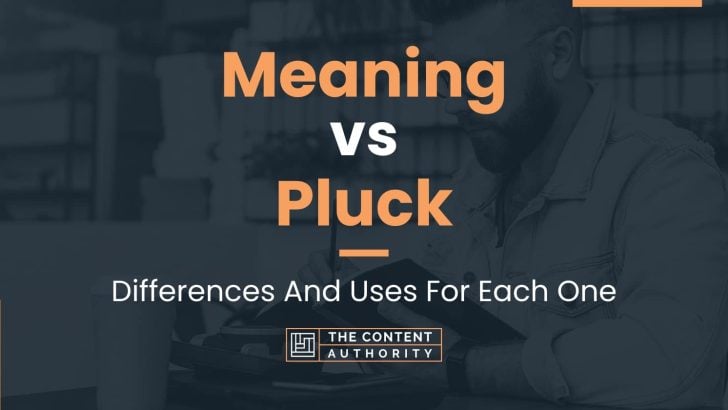 Meaning vs Pluck: Differences And Uses For Each One