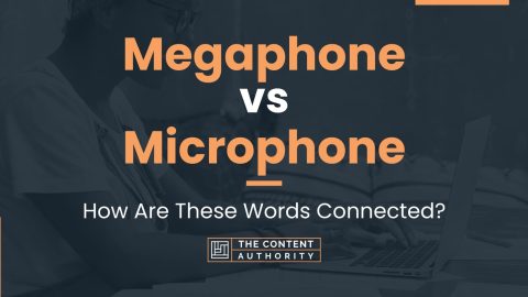 Megaphone vs Microphone: How Are These Words Connected?