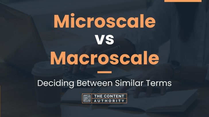 Microscale vs Macroscale: Deciding Between Similar Terms