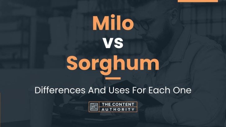 Milo vs Sorghum: Differences And Uses For Each One