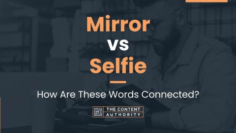 Mirror Vs Selfie: How Are These Words Connected?