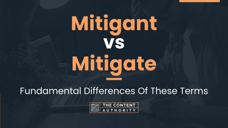 Mitigant vs Mitigate: Fundamental Differences Of These Terms