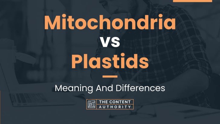 Mitochondria vs Plastids: Meaning And Differences