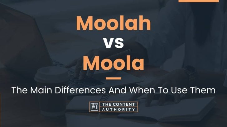 Moolah vs Moola: The Main Differences And When To Use Them