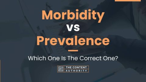 Morbidity vs Prevalence: Which One Is The Correct One?