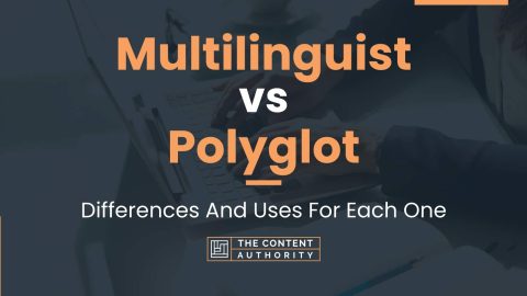 Multilinguist vs Polyglot: Differences And Uses For Each One