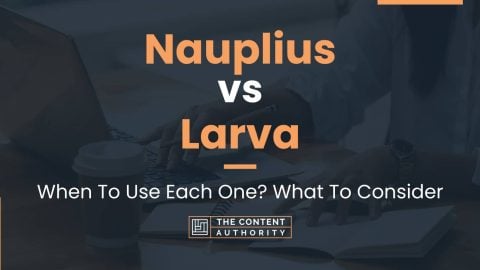 Nauplius vs Larva: When To Use Each One? What To Consider