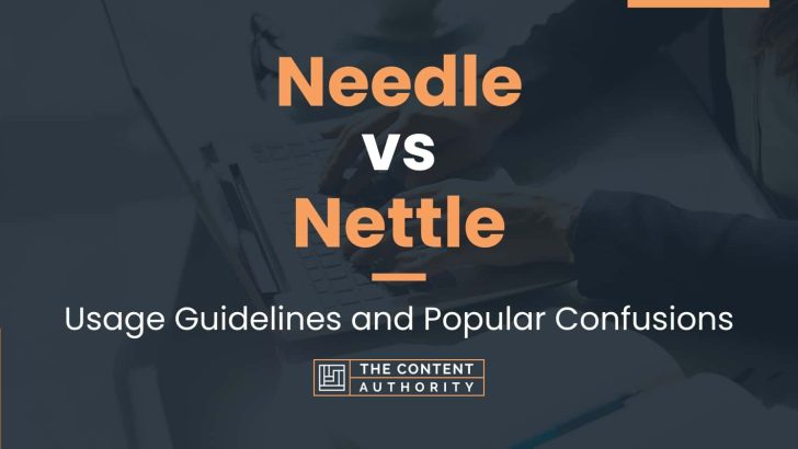 Needle vs Nettle: Usage Guidelines and Popular Confusions