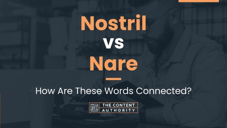 Nostril vs Nare: How Are These Words Connected?