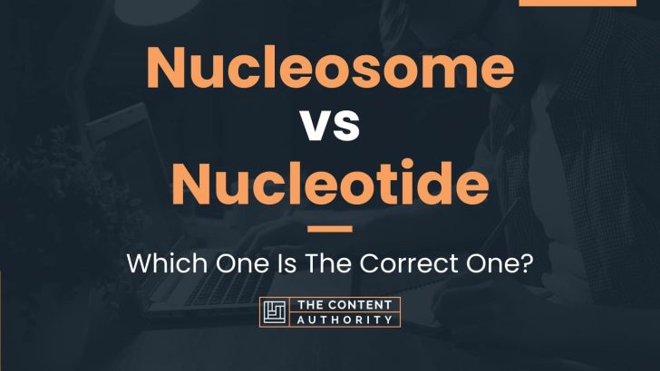 Nucleosome vs Nucleotide: Which One Is The Correct One?