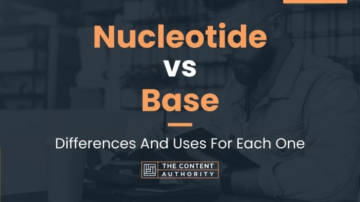 Nucleotide vs Base: Differences And Uses For Each One