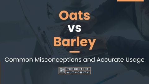 Oats vs Barley: Common Misconceptions and Accurate Usage