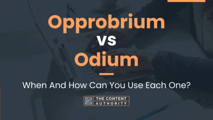 Opprobrium vs Odium: When And How Can You Use Each One?