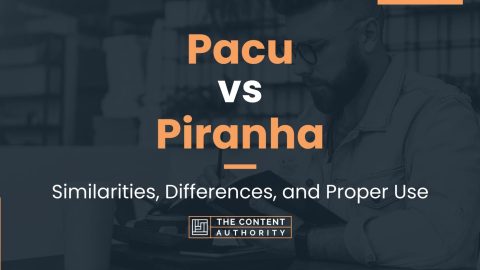 Pacu vs Piranha: Similarities, Differences, and Proper Use