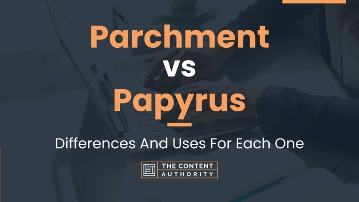 Parchment vs Papyrus: Differences And Uses For Each One