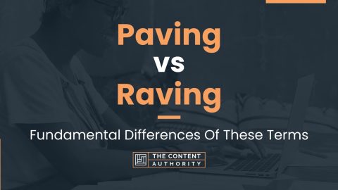 Paving vs Raving: Fundamental Differences Of These Terms