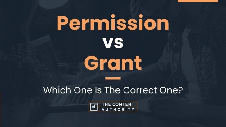 Permission vs Grant: Which One Is The Correct One?