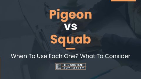 Pigeon Vs Squab: When To Use Each One? What To Consider