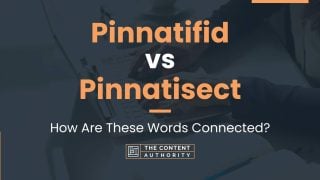 Pinnatifid vs Pinnatisect: How Are These Words Connected?