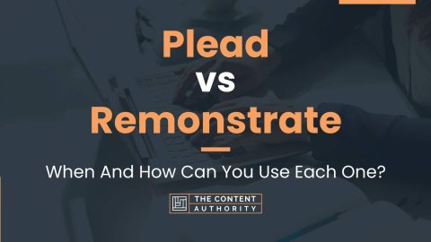 Plead vs Remonstrate: When And How Can You Use Each One?