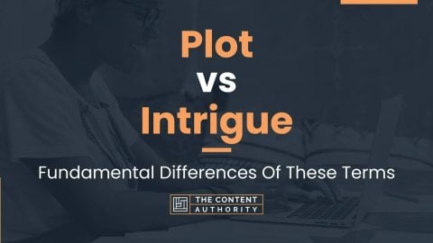 Plot vs Intrigue: Fundamental Differences Of These Terms